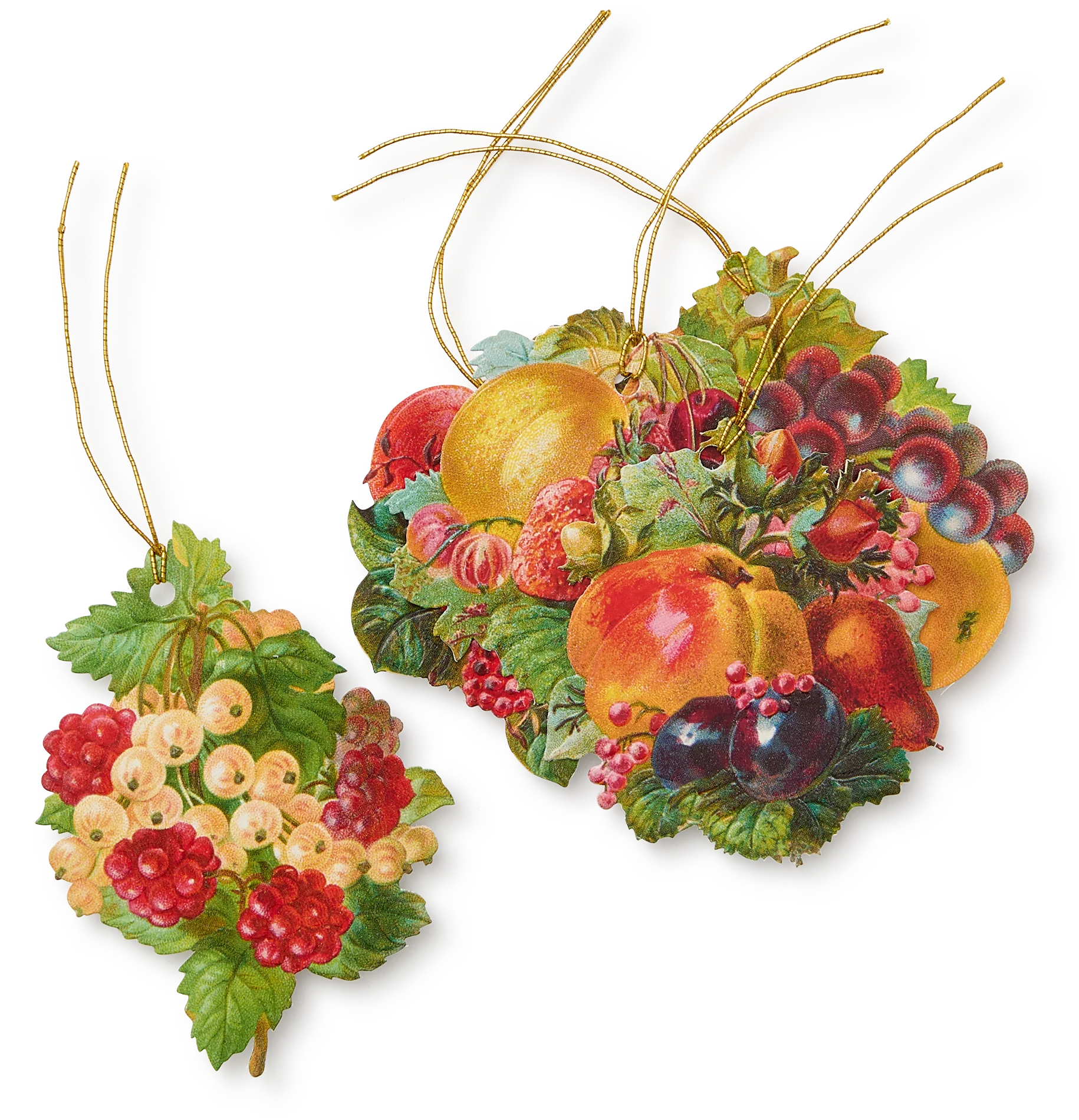5 Fruits Gift Tags