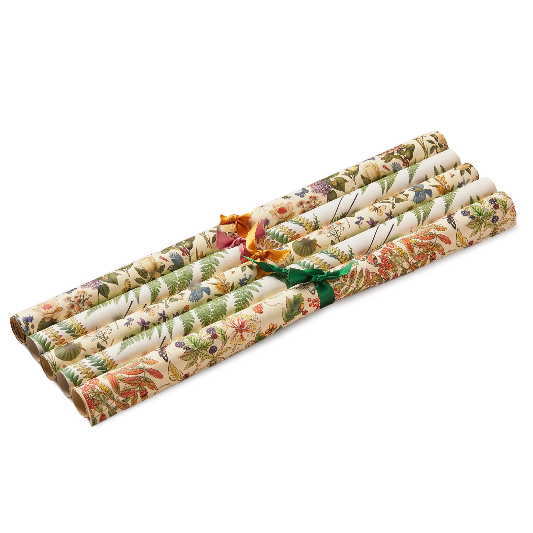 5 Wrapping Papers, Botanical