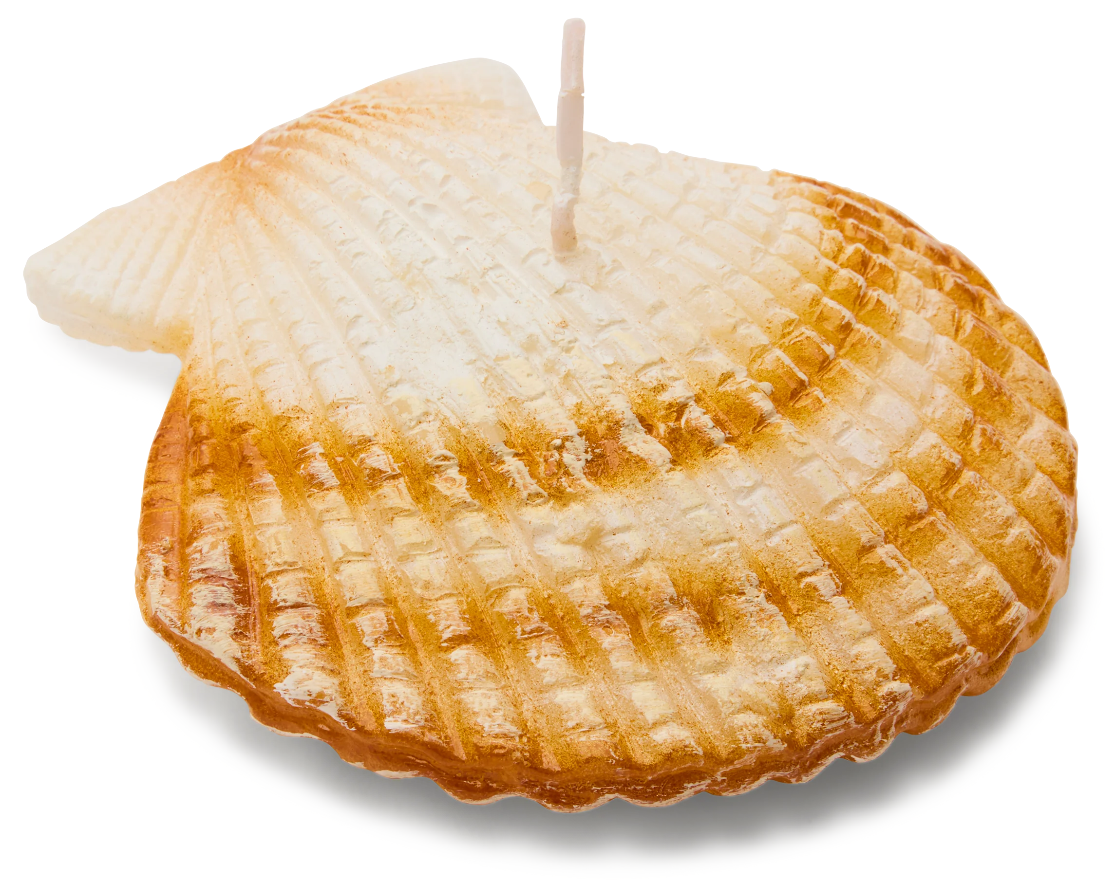 Clam Shell Candle