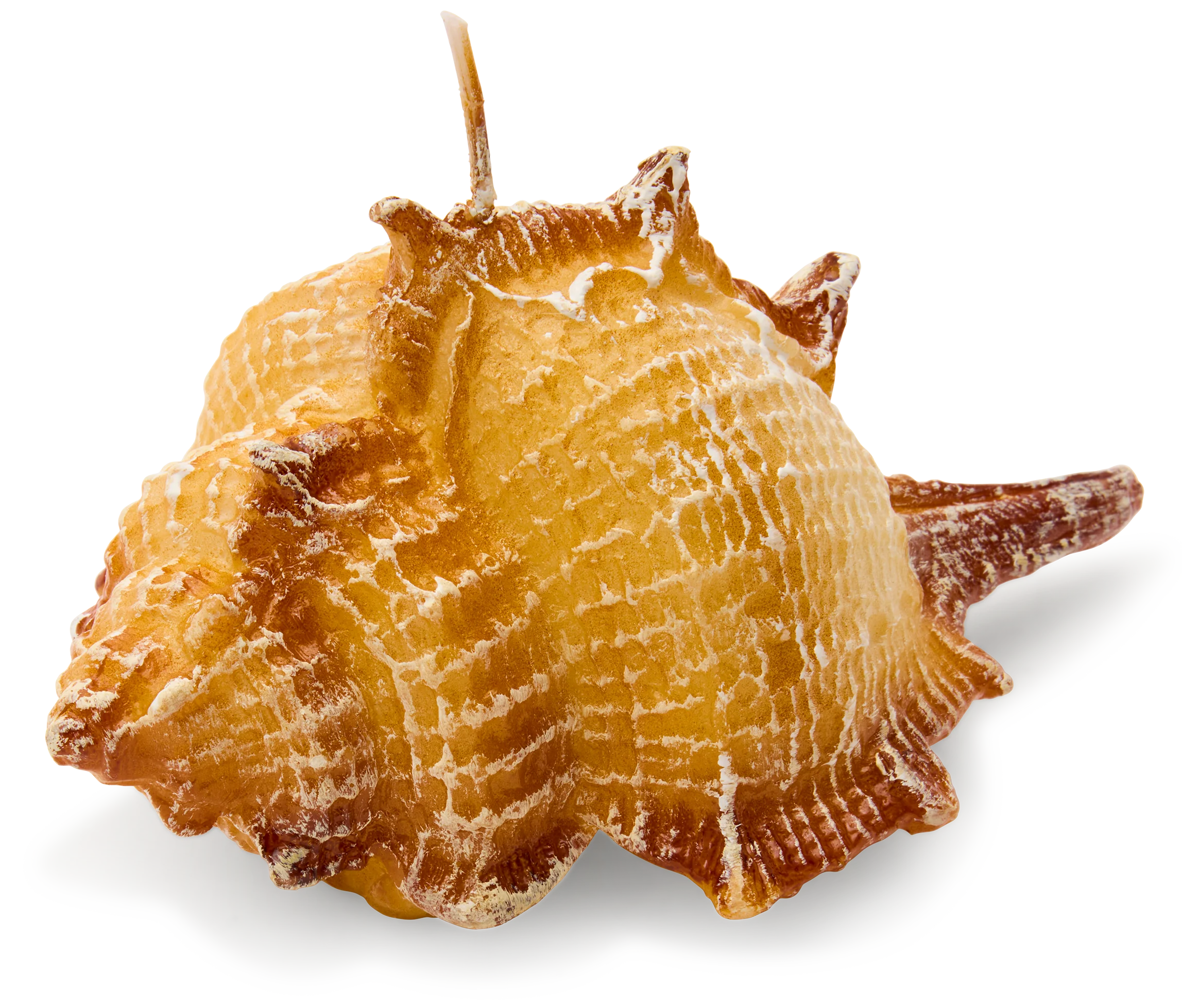 Conch Shell Candle