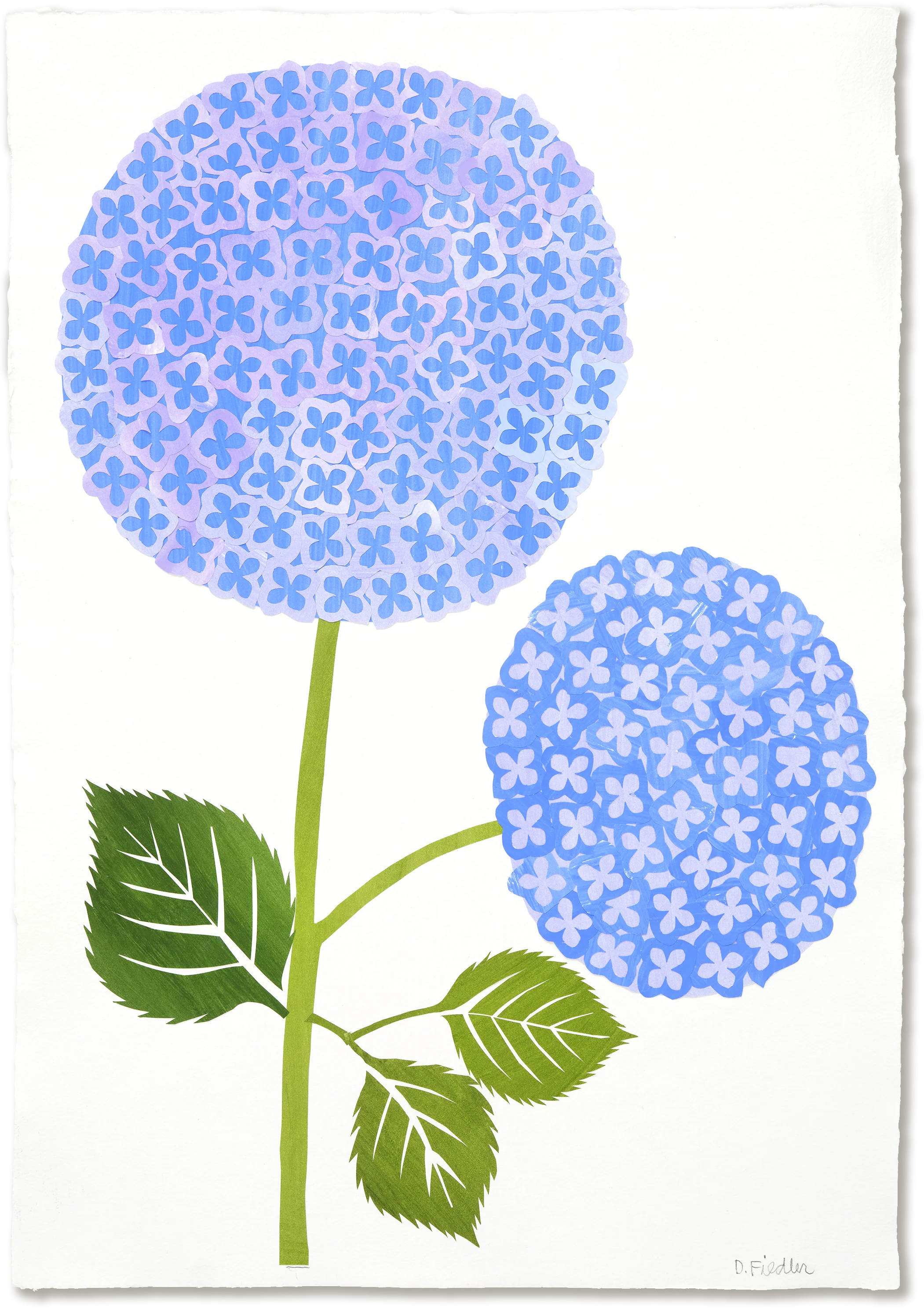 Denise Fiedler Floral Collage - 2 Blue Hydrangea on Stem