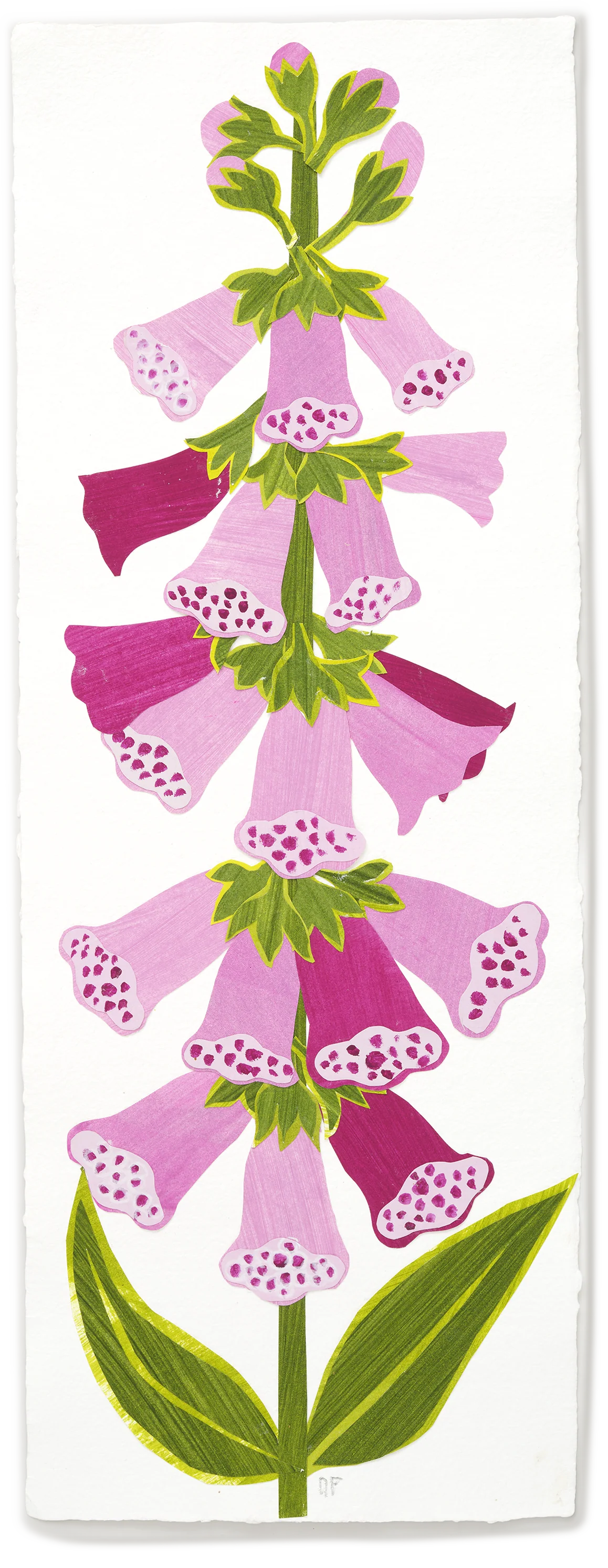 Denise Fiedler Floral Collage - Rectangle / Foxglove