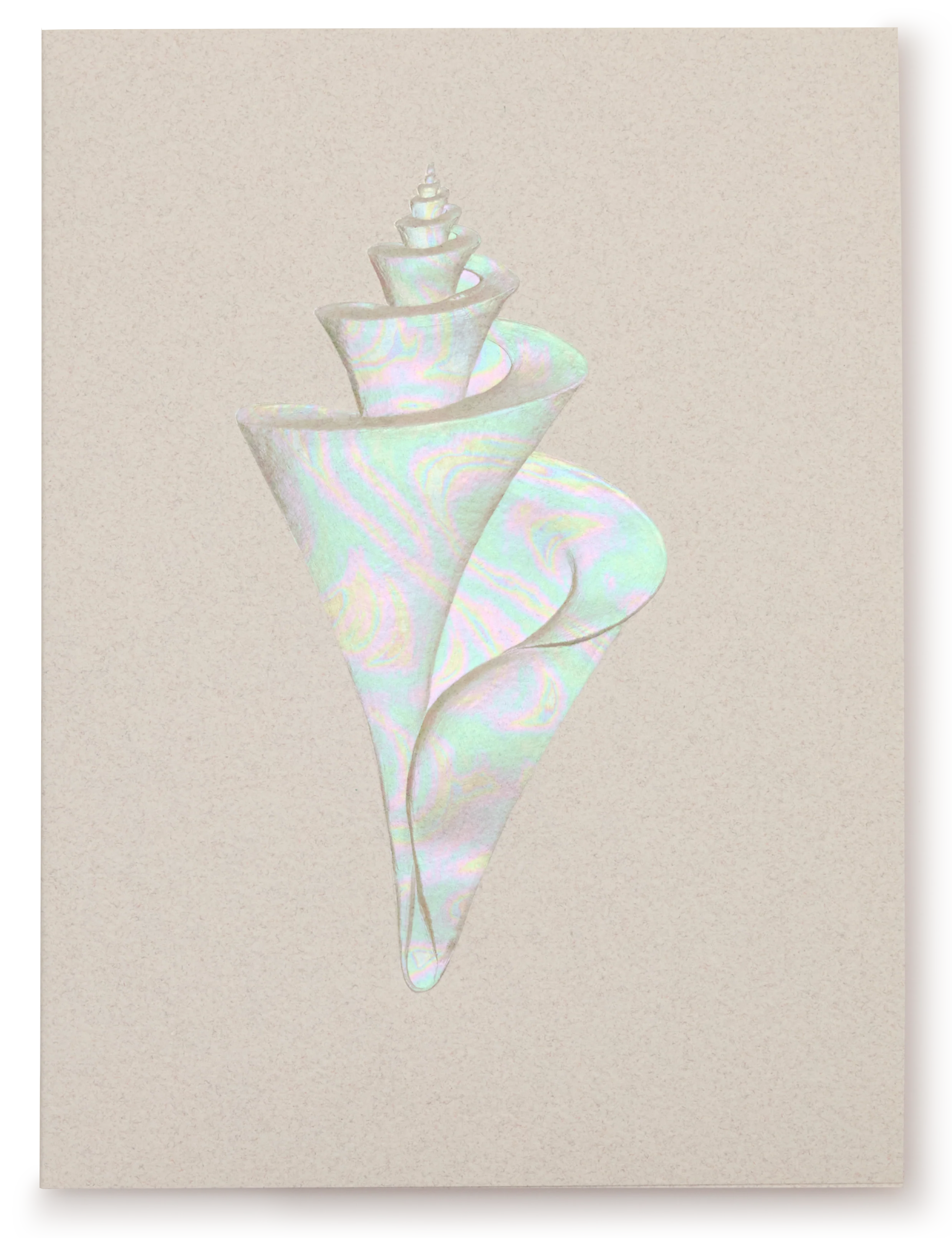Engraved Conch Shell Greeting Card