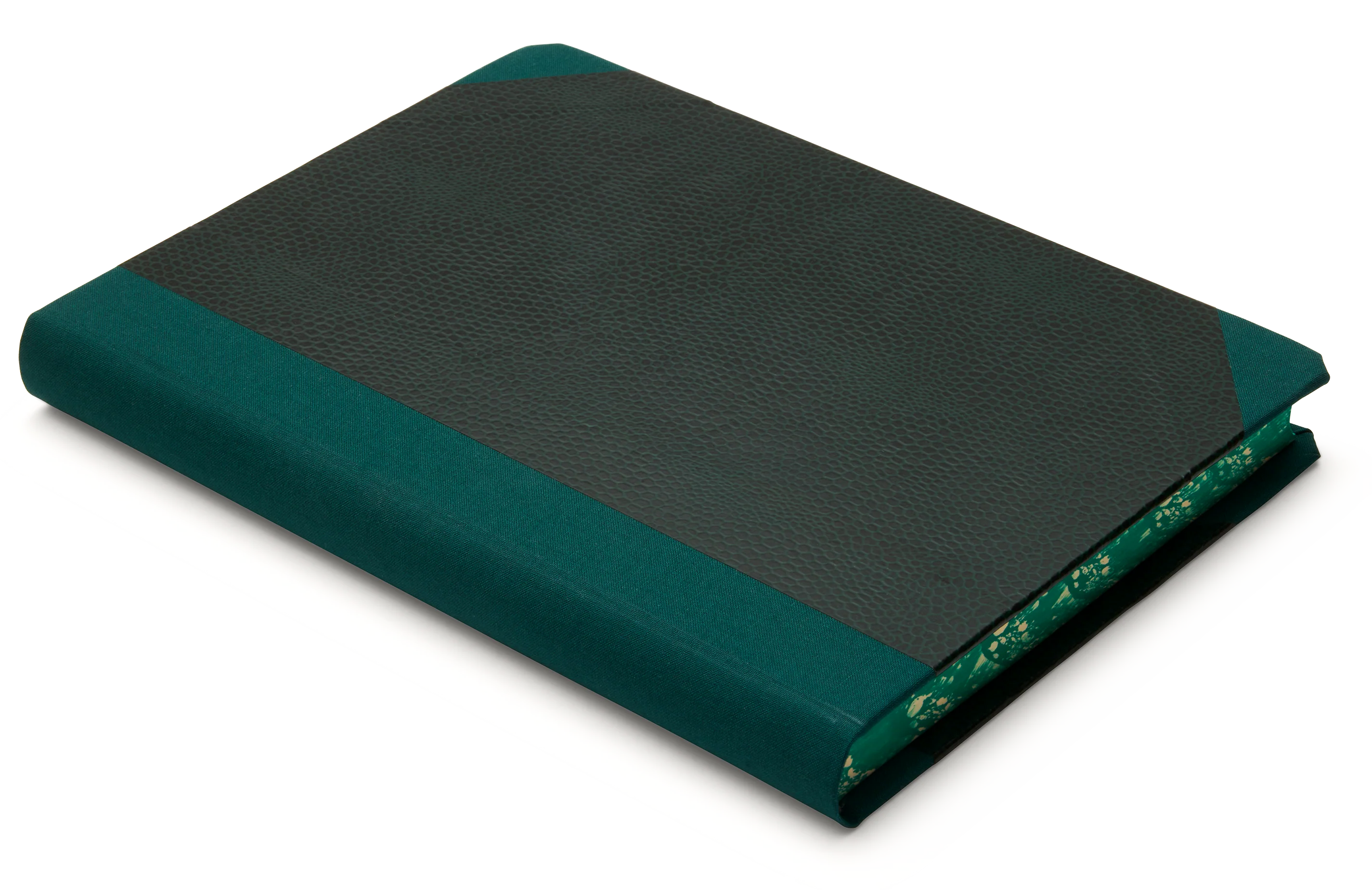 Extra-Thick "Composition Ledger" Notebook, Green Iguana