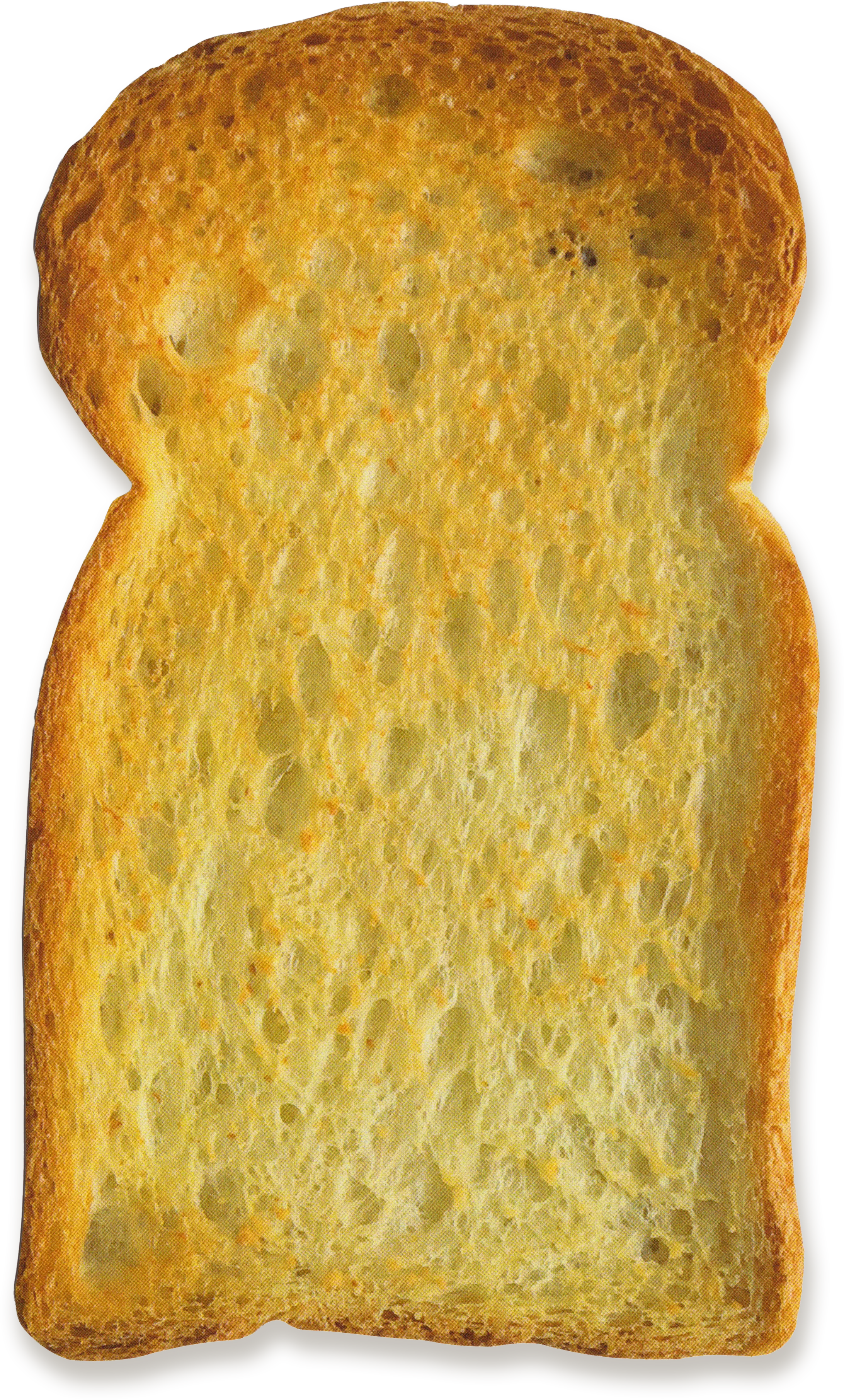 Faux Perfect Toast Die Cut Postcard