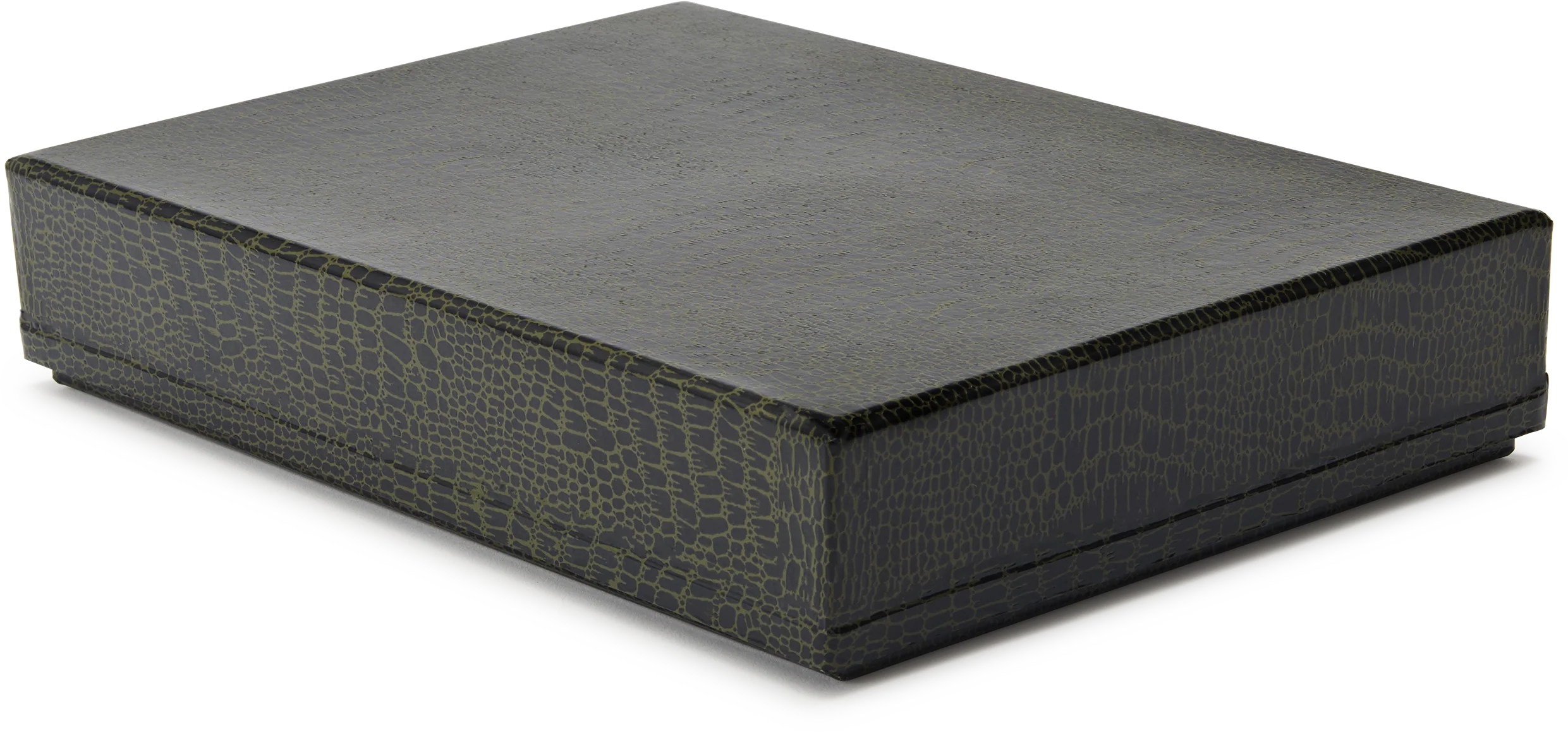 Green Lizard Storage Box