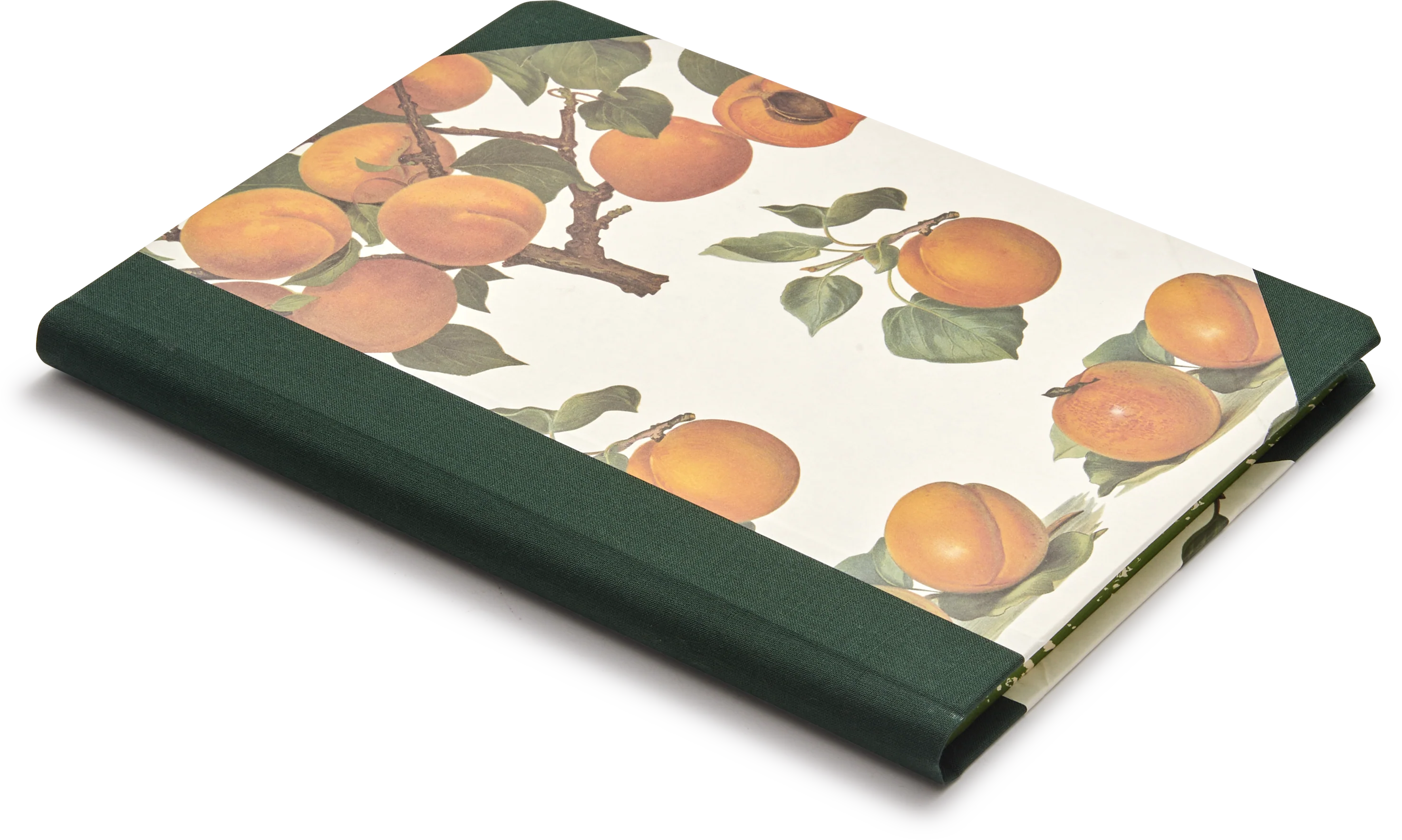 Hardback "Composition Ledger" Notebook, Apricots