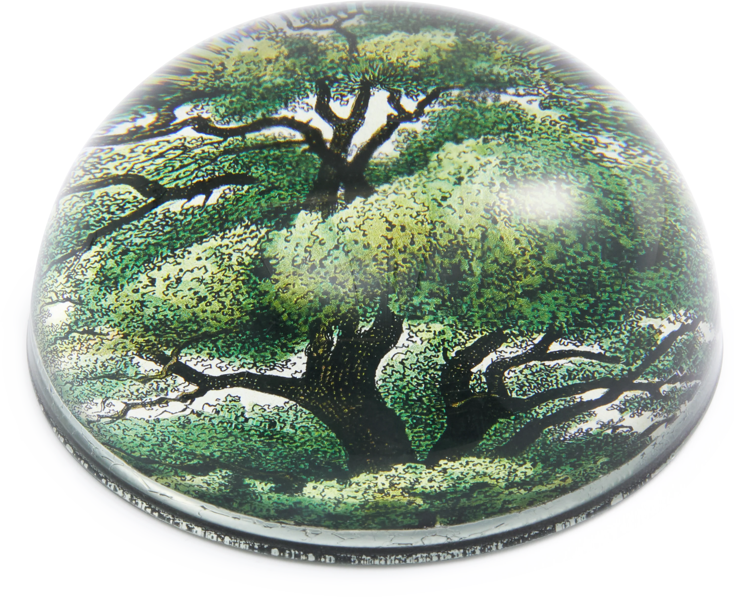 John Derian Branches Paperweight