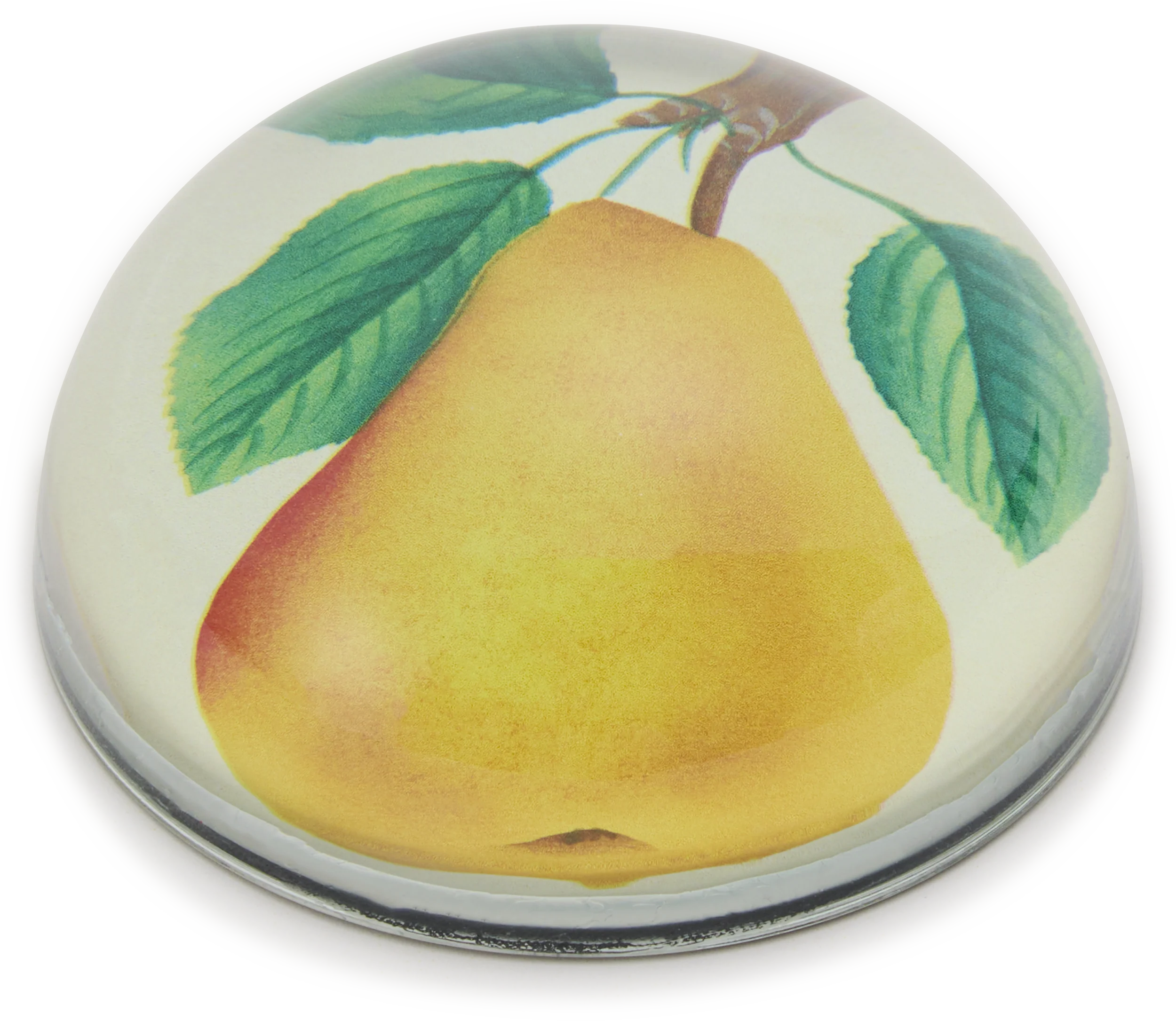 John Derian Flemish Beauty Pear Paperweight