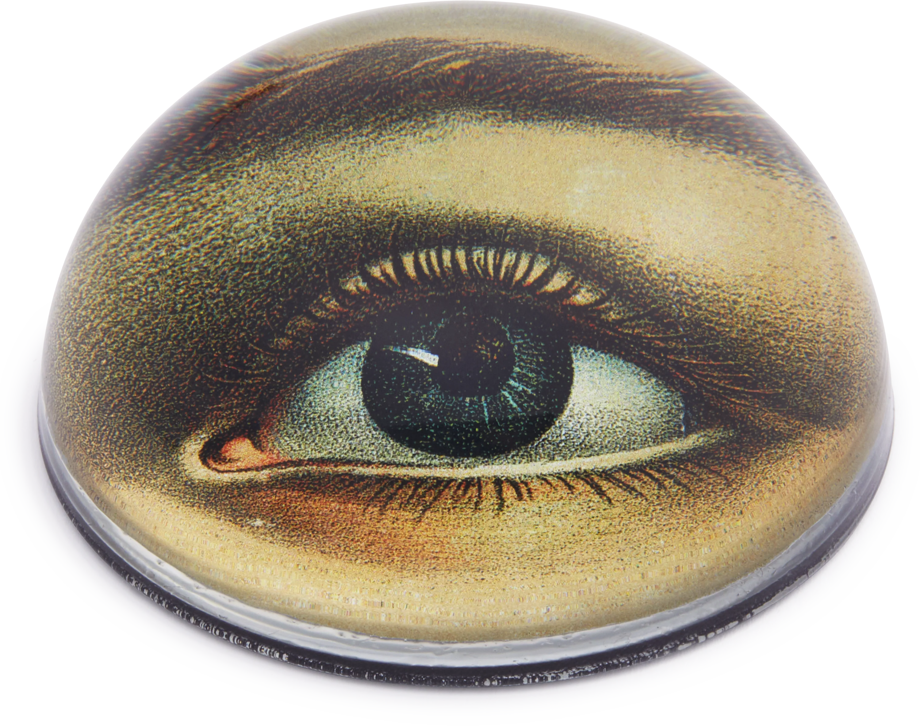 John Derian Left Eye Paperweight