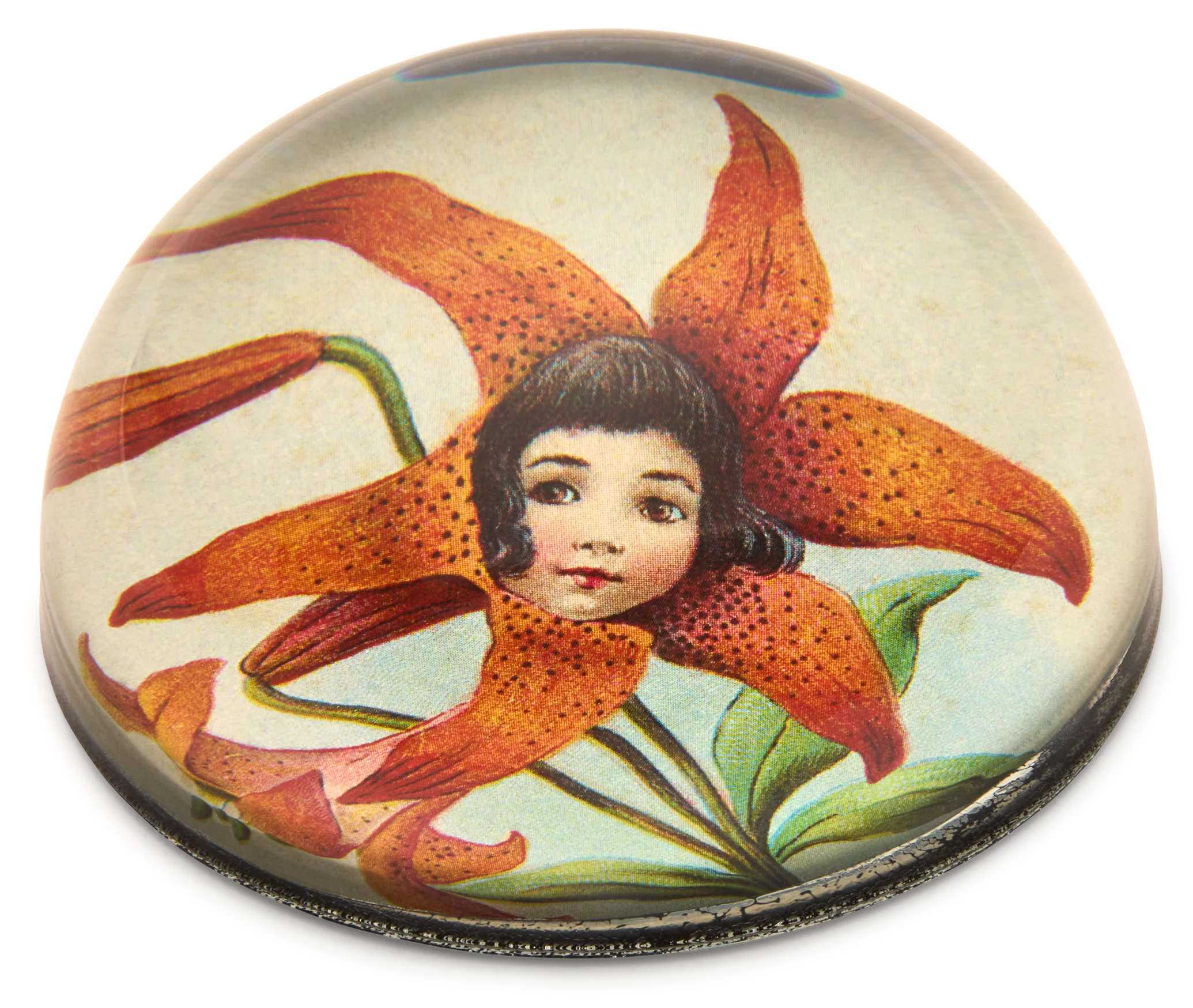 John Derian Tiger Lily Paperweight