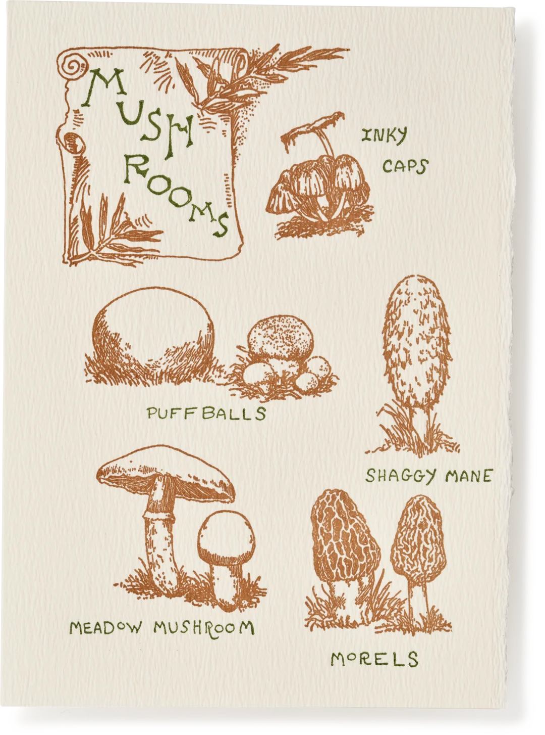 Letterpress Nature Mushrooms Greeting Card