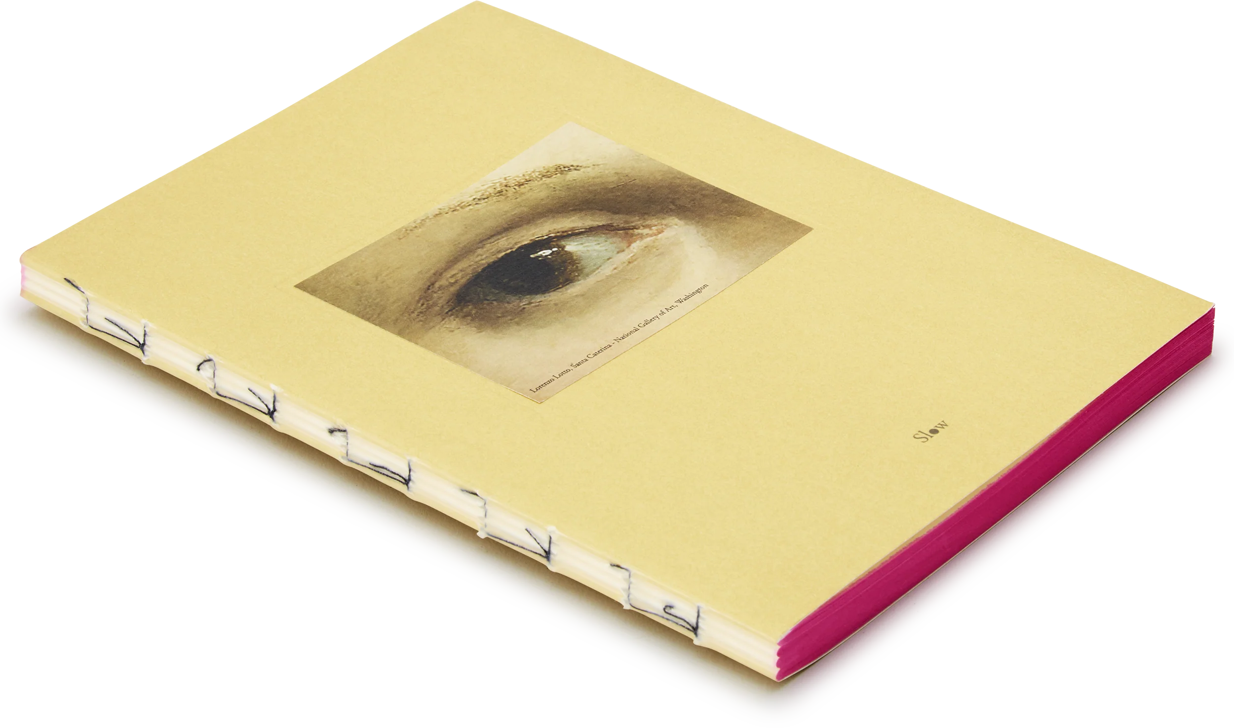Medium Pictorial Journal - Lorenzo Lotto Eye