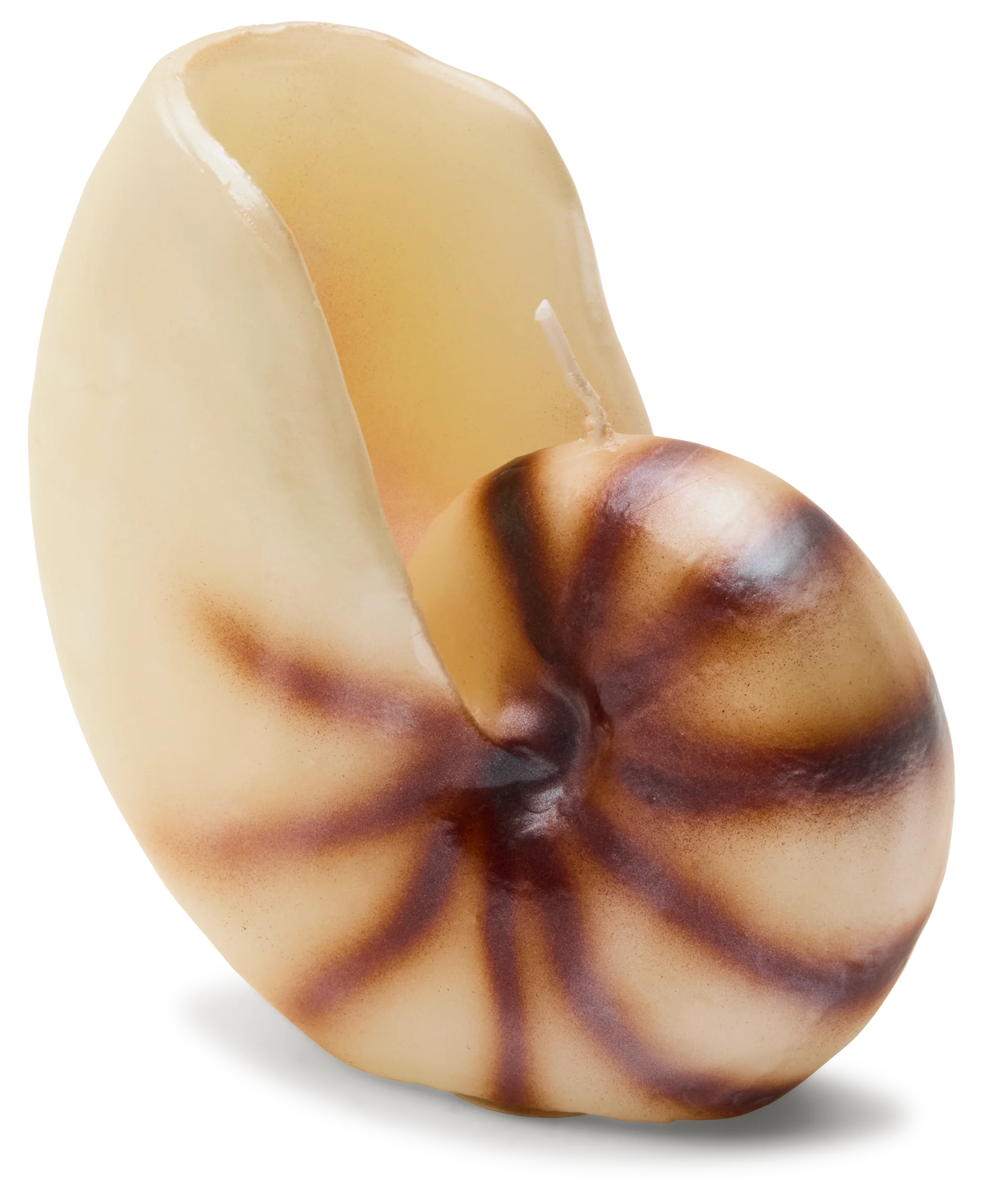 Nautilus Shell Candle