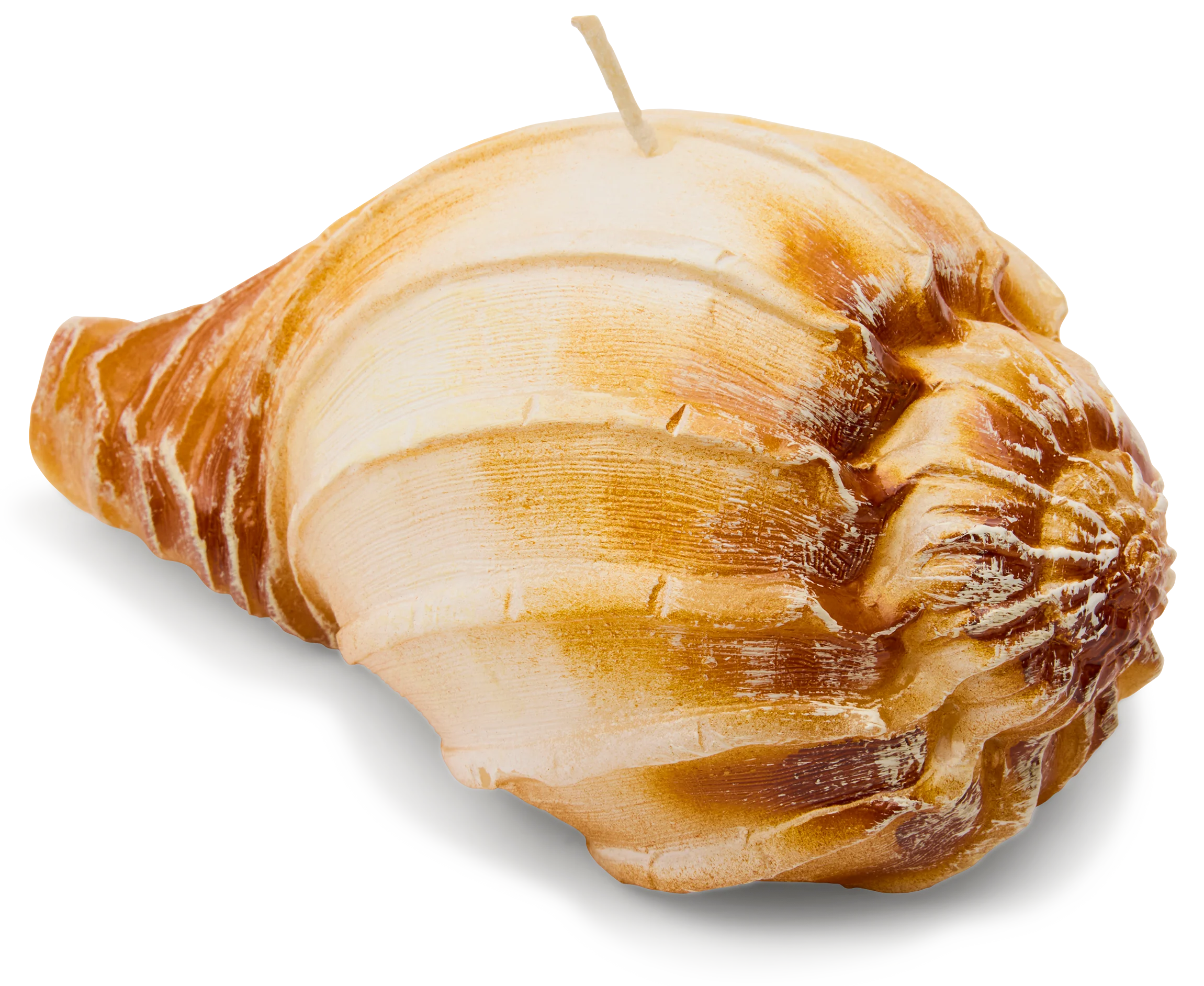 Ridged Shell Candle
