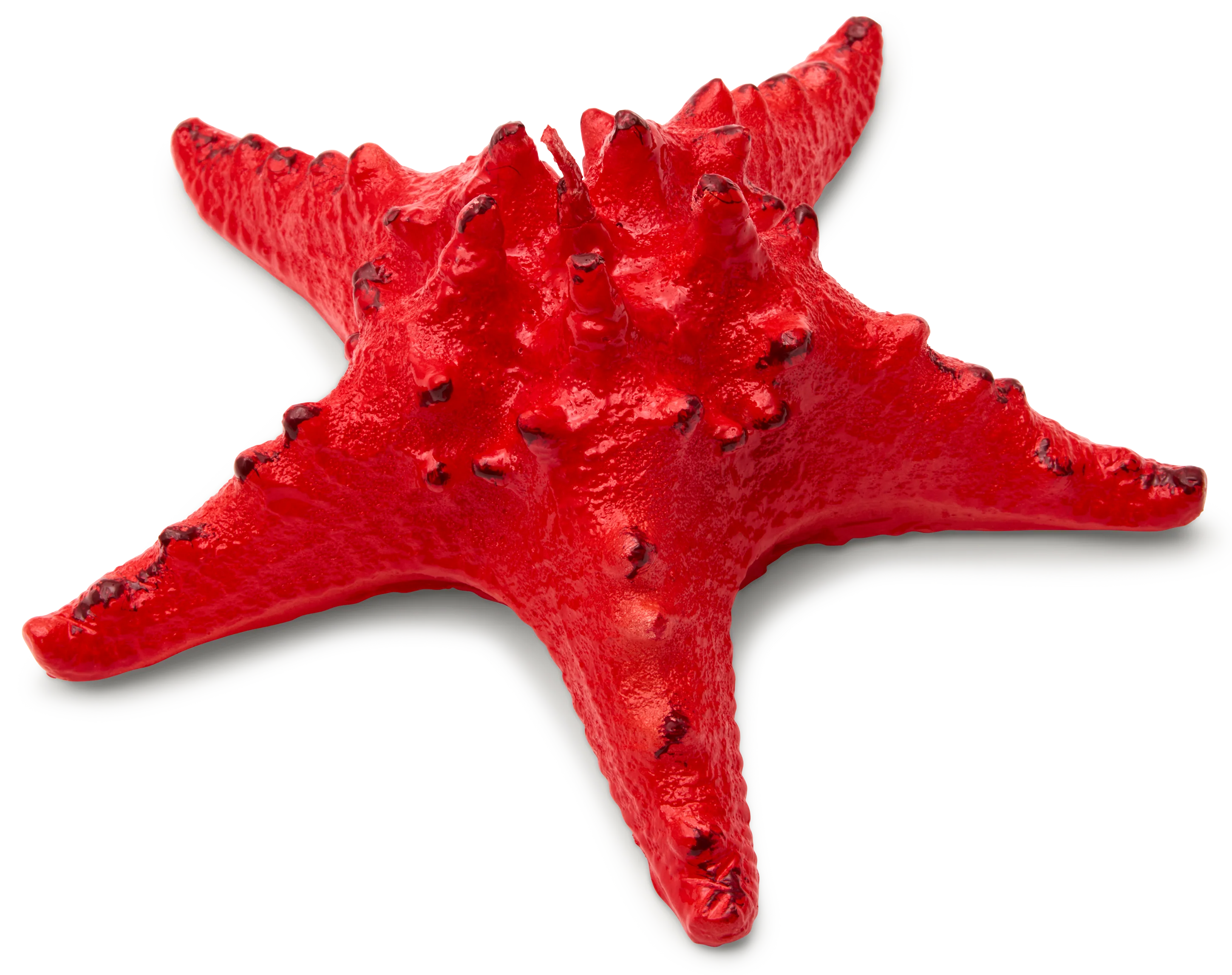 Starfish Candle